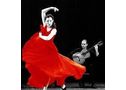 Classes de flamenc i sevillanes immediatament - En Barcelona